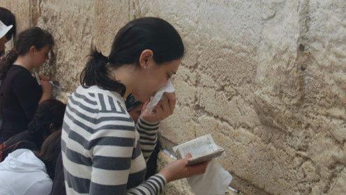 娱乐圈吃瓜君西瓜视频